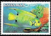 Bahamas 1986 - serie Pesci: 50 c