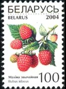 Belarus 2004 - set Fruits: 100 r