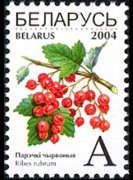 Bielorussia 2004 - serie Frutta: A