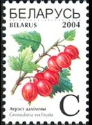 Belarus 2004 - set Fruits: C