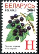 Bielorussia 2004 - serie Frutta: H