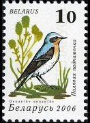 Bielorussia 2006 - serie Uccelli: 10 r