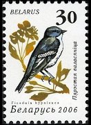 Bielorussia 2006 - serie Uccelli: 30 r