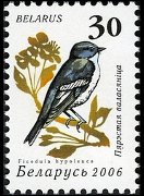 Belarus 2006 - set Birds: 30 r