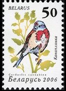 Bielorussia 2006 - serie Uccelli: 50 r