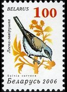 Bielorussia 2006 - serie Uccelli: 100 r