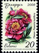 Bielorussia 2008 - serie Fiori: 20 r