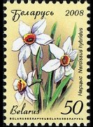 Bielorussia 2008 - serie Fiori: 50 r