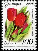 Belarus 2008 - set Flowers: 100 r