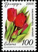 Bielorussia 2008 - serie Fiori: 100 r