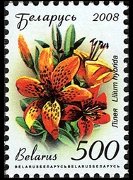 Bielorussia 2008 - serie Fiori: 500 r