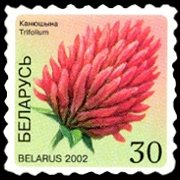 Bielorussia 2002 - serie Fiori: 30 r