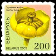 Belarus 2002 - set Flowers: 200 r