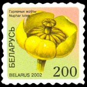 Bielorussia 2002 - serie Fiori: 200 r