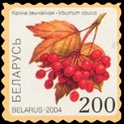 Bielorussia 2004 - serie Piante e frutti: 200 r