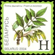 Bielorussia 2004 - serie Piante e frutti: H