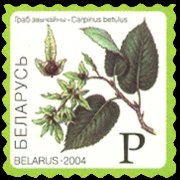 Bielorussia 2004 - serie Piante e frutti: P