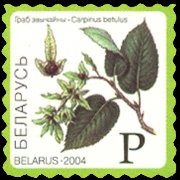 Bielorussia 2004 - serie Piante e frutti: P