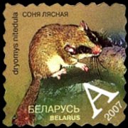 Bielorussia 2007 - serie Fauna: A