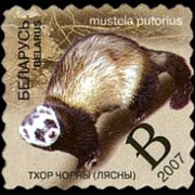 Belarus 2007 - set Wildlife: B