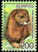 Bielorussia 2007 - serie Fauna: 200 r