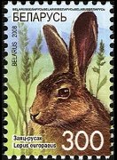 Belarus 2007 - set Wildlife: 300 r