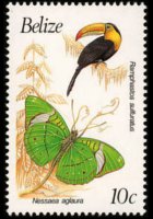 Belize 1990 - serie Uccelli e farfalle: 10 c