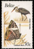 Belize 1990 - serie Uccelli e farfalle: 30 c