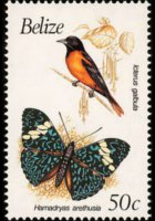 Belize 1990 - serie Uccelli e farfalle: 50 c
