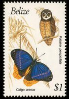 Belize 1990 - serie Uccelli e farfalle: 1 $