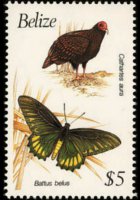 Belize 1990 - serie Uccelli e farfalle: 5 $