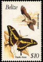 Belize 1990 - serie Uccelli e farfalle: 10 $