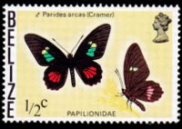 Belize 1974 - serie Farfalle: ½ c