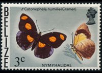 Belize 1974 - serie Farfalle: 3 c