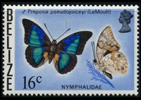 Belize 1974 - serie Farfalle: 16 c