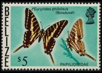 Belize 1974 - serie Farfalle: 5 $