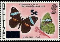 Belize 1974 - serie Farfalle: 5 c su 15 c