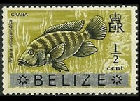 Belize 1973 - serie Animali e pesci: ½ c