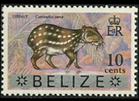 Belize 1973 - serie Animali e pesci: 10 c