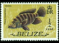 Belize 1974 - serie Animali e pesci: ½ c