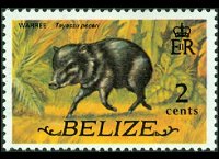 Belize 1974 - serie Animali e pesci: 2 c