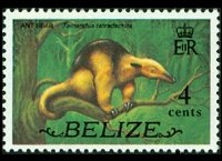 Belize 1974 - serie Animali e pesci: 4 c