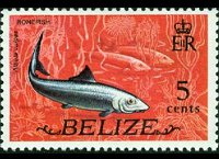 Belize 1974 - serie Animali e pesci: 5 c