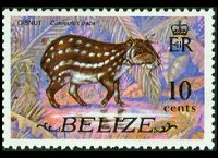 Belize 1974 - serie Animali e pesci: 10 c