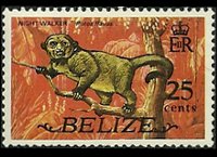 Belize 1974 - serie Animali e pesci: 25 c