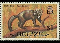 Belize 1974 - serie Animali e pesci: 1$