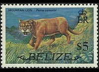 Belize 1974 - serie Animali e pesci: 5 $