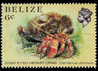 Belize 1984 - serie Vita marina: 6 c