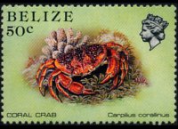 Belize 1984 - serie Vita marina: 50 c