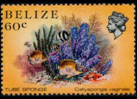 Belize 1984 - serie Vita marina: 60 c